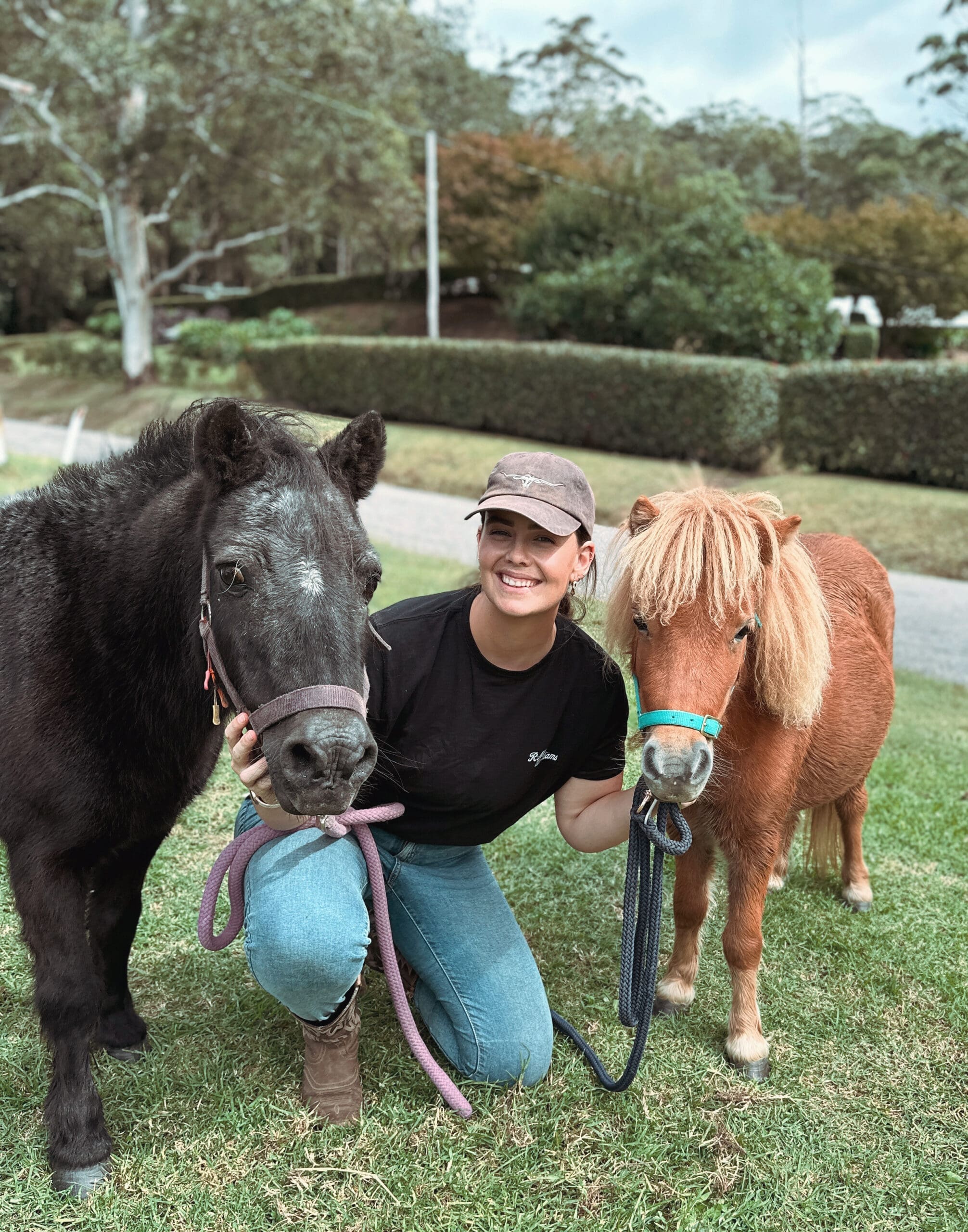 Black and Brown Pony with a young girl between them