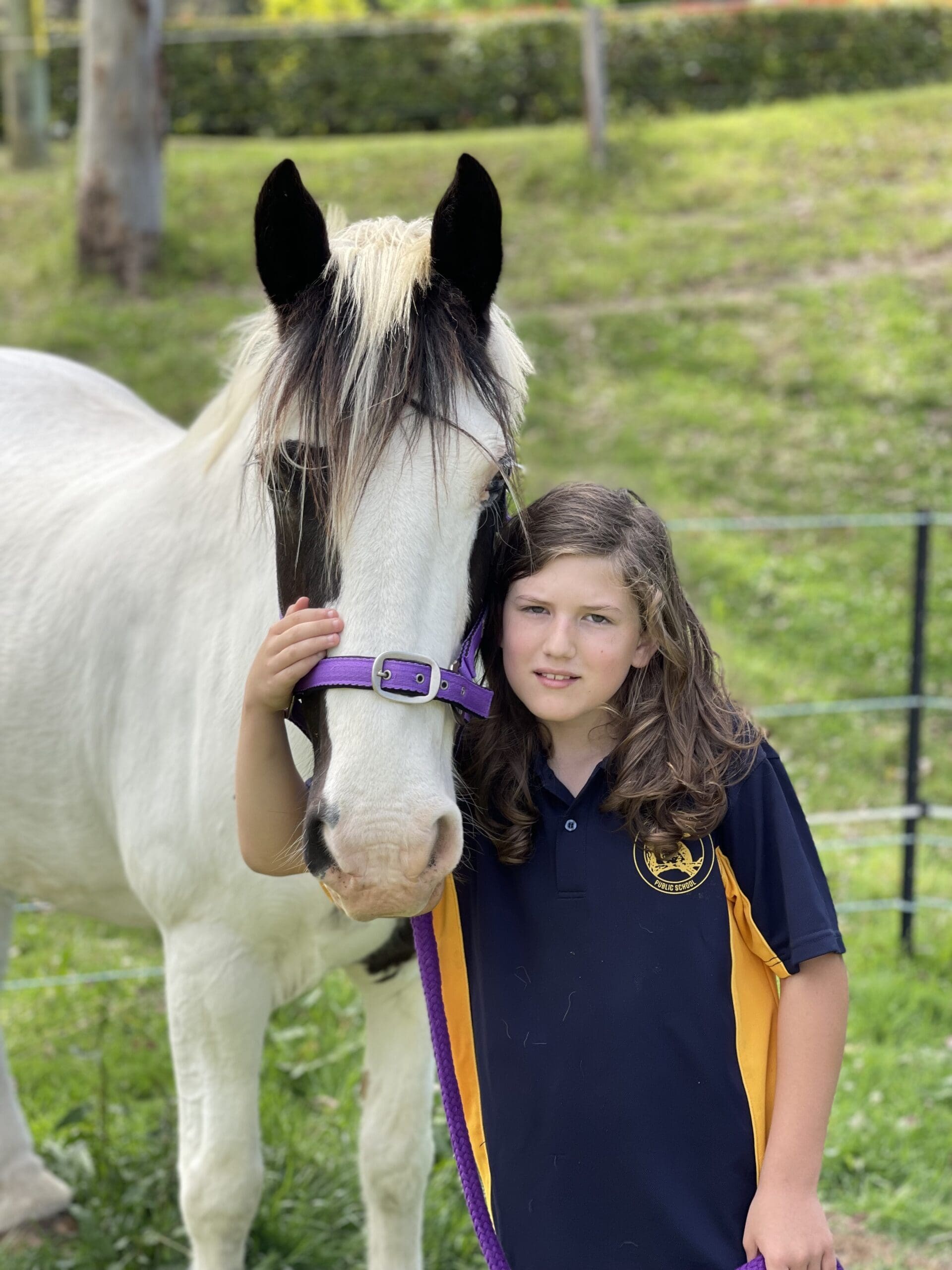 White Horse with young child holding its head
